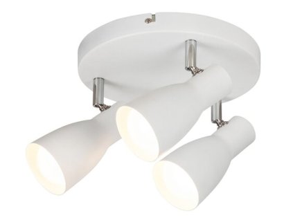 Stropné svietidlo Ebony 6028