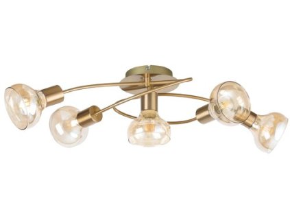 Stropné svietidlo Holly 5552