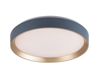 Stropné svietidlo Liatris 71121