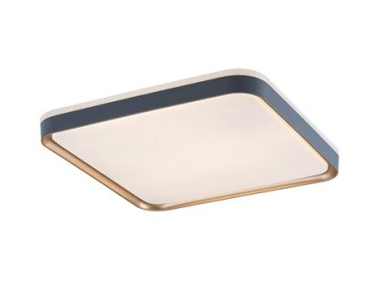 Stropné svietidlo Liatris 71029