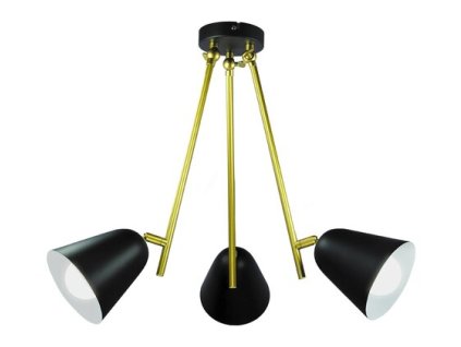 Stropné svietidlo Alder 5376