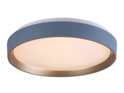 Stropné svietidlo Liatris2 71185