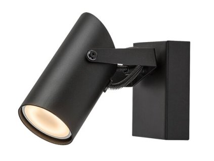 Nástenné svietidlo Maximilian 73043