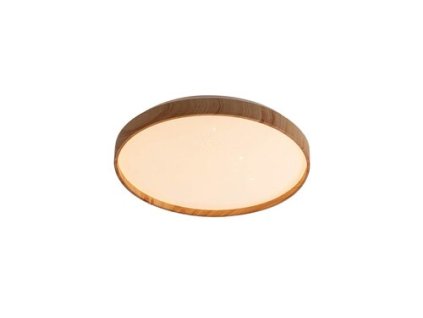 Stropné svietidlo Leana 6580