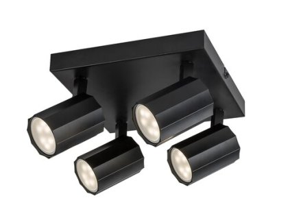 Stropné svietidlo Rogelio 73026