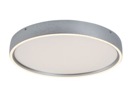 Stropné svietidlo Dewson 71289