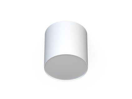 Downlight POINT PLEXI WHITE M 6525