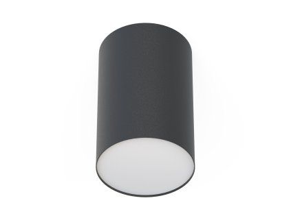 Downlight POINT PLEXI BLACK L 6530