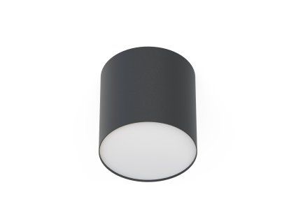 Downlight POINT PLEXI 6526