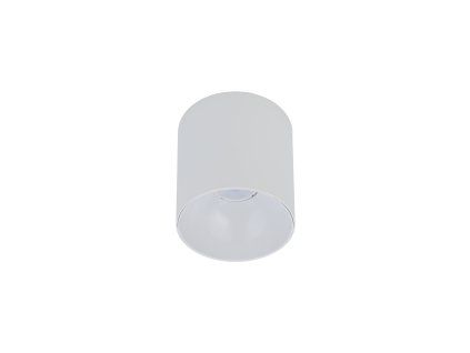 Downlight POINT TONE WHITE/WHITE 8222