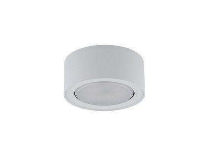 Downlight FLEA WHITE 8202