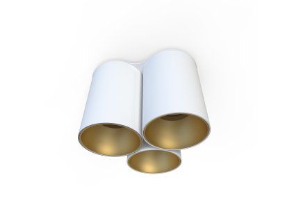 Downlight EYE TONE III WHITE/GOLD 7666