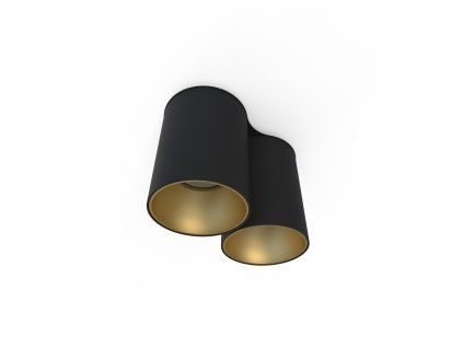Downlight EYE TONE II BLACK/GOLD 8087