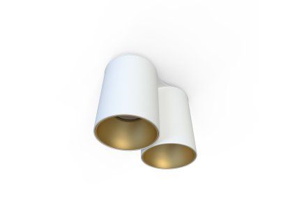Downlight EYE TONE II WHITE/GOLD 7665