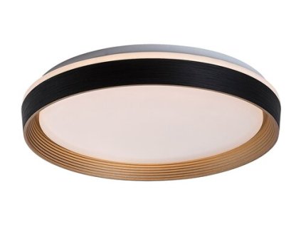 Stropné svietidlo Ladan 71308