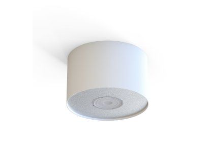 Downlight POINT WHITE 6000