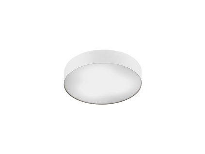 Stropné svietidlo  ARENA WHITE SENSOR 10186 (pôvodné ID 8832)