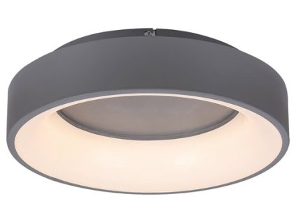 Stropné svietidlo Adeline 3928