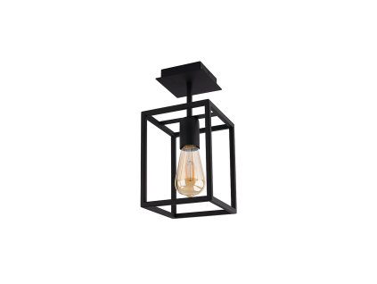 Stropné svietidlo CRATE I 9045