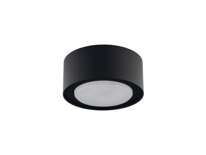 Downlight FLEA BLACK 8203