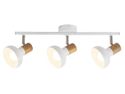 Stropné svietidlo Holly 5945