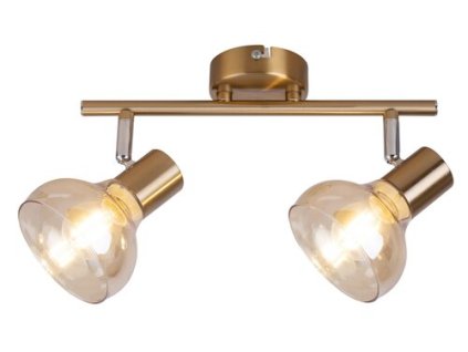 Stropné svietidlo  Holly 5547