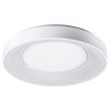 Rabalux Ceilo 3083 - LED 38 - biela
