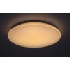 Rabalux Cerrigen 71035 - LED 24 - biela