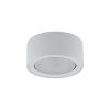 Downlight FLEA WHITE 8202