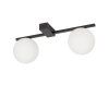 Stropné svietidlo PIK II 10300