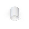 Downlight EYE TONE WHITE/WHITE 8925