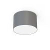 Stropné svietidlo  CAMERON GRAY III 9683