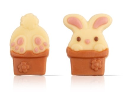 králíček v květináči