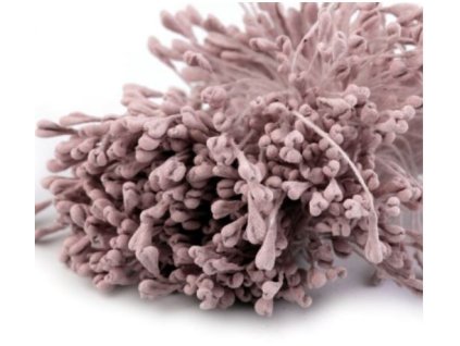 pestíky ploché světlefialové