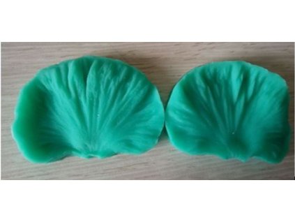 Žilkovač okvětní list velký