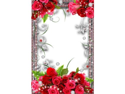 4c80d7e68f0faa5756f4d620787ce236