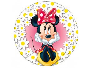 Minnie 4