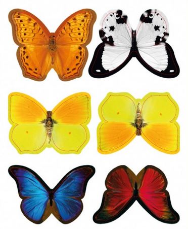 Barevní motýlci