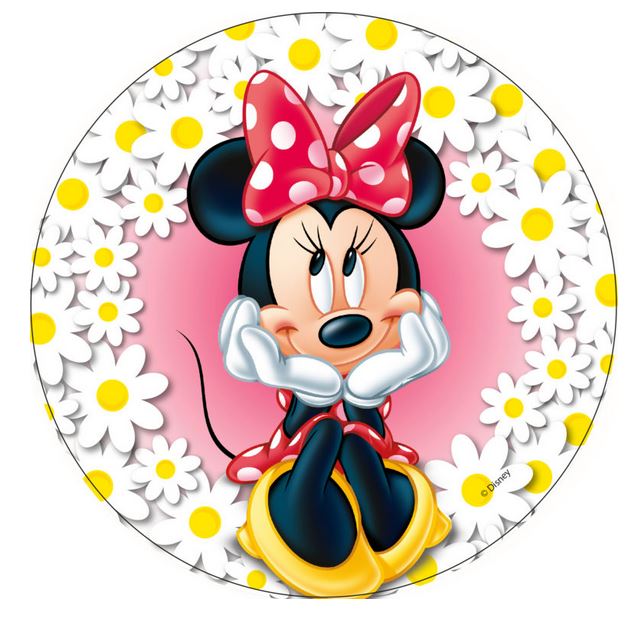 Minnie 4