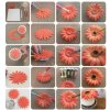 gerbera postup