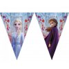 vlaj. girlanda frozen 2