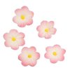 daisy pink culp