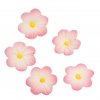 daisy pink culp