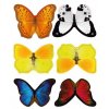 barevní motýli