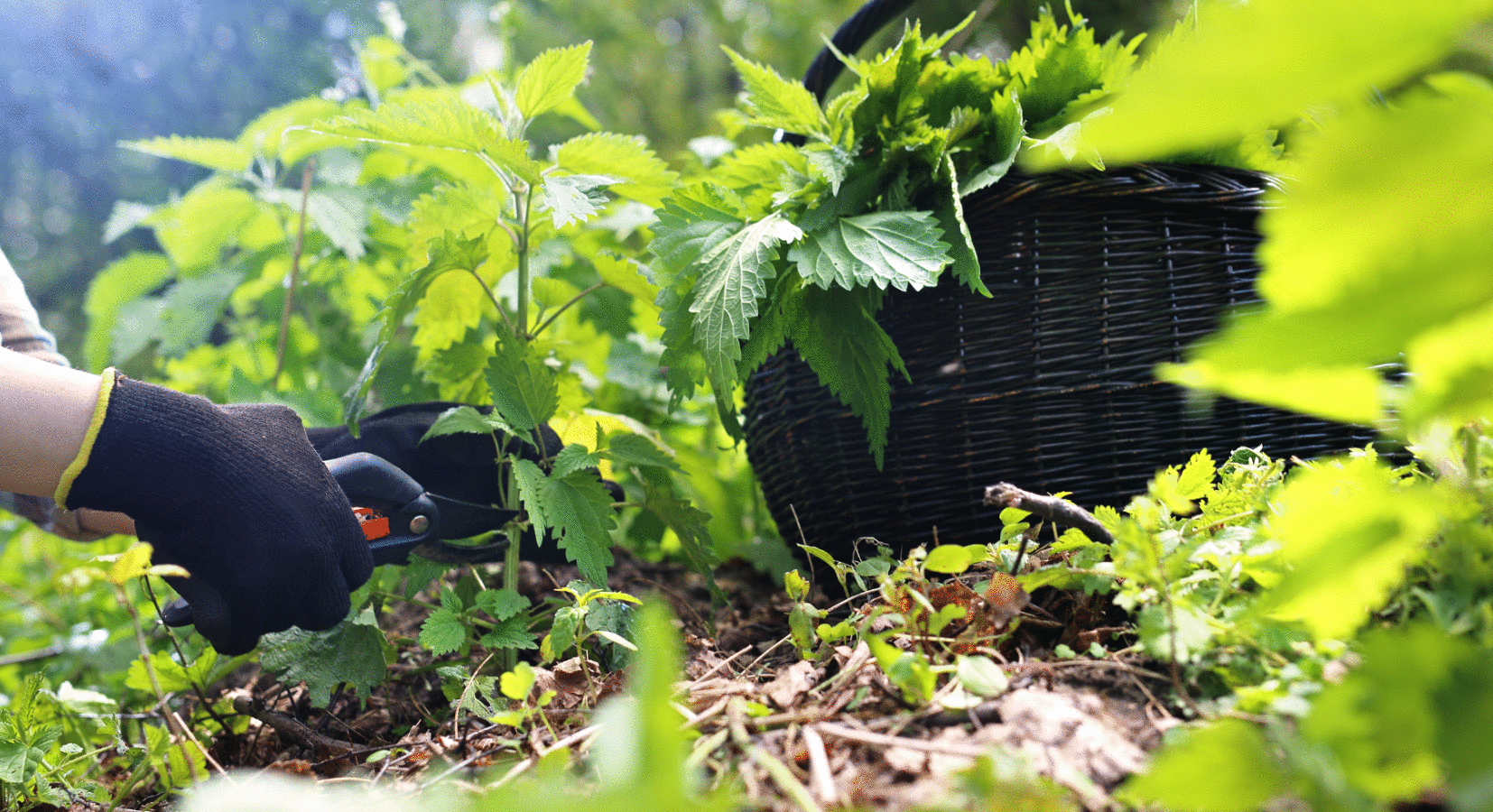 Vyrábíme z certifikované Ramie