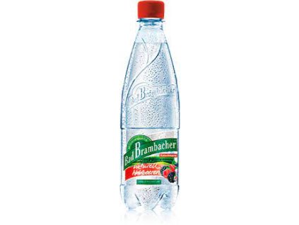 Bad brambacher lesni plody