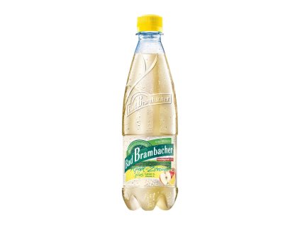 Bad Brambacher Vita Mineral Apfel Zitrone 20 x 0 5l