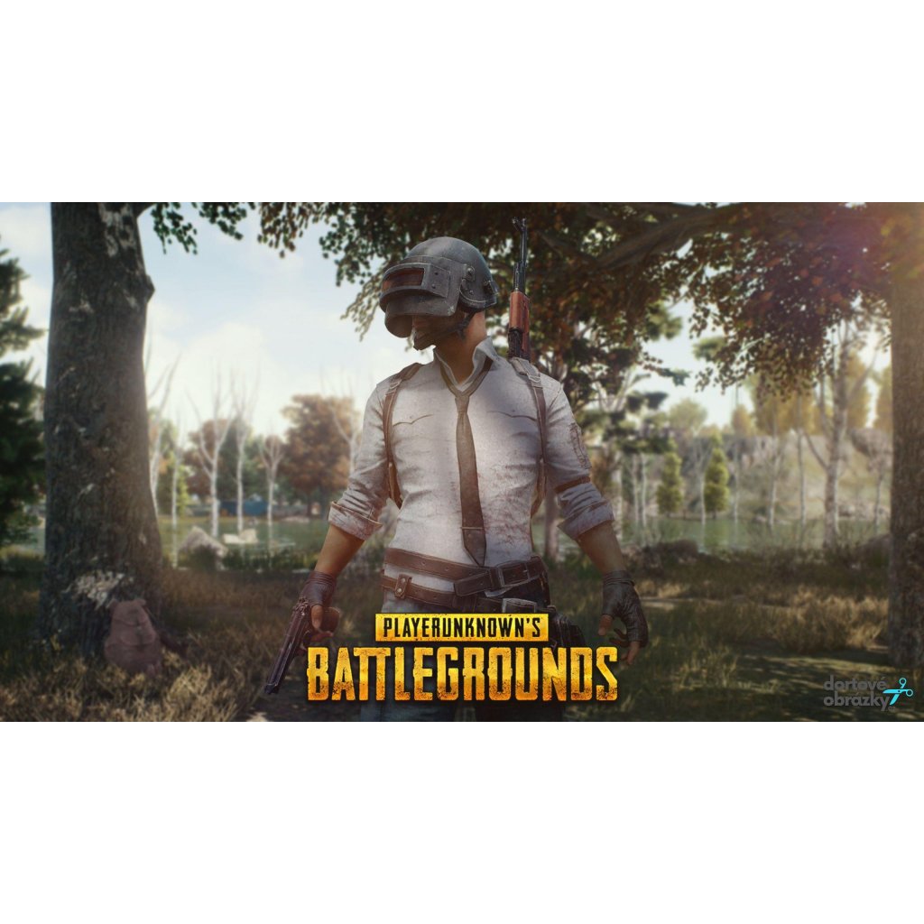 Jedlý papír  PUBG (● velikost formát A4 (25x20cm) ☝, ● materiál FONDÁNOVÝ DECORLIST ✴️)