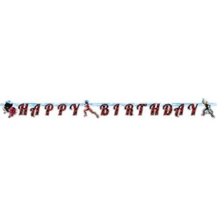Party nápis Happy Birthday Kouzelná beruška a černý kocour 200 x 15 cm  /BP