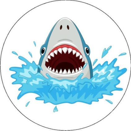 babyshark